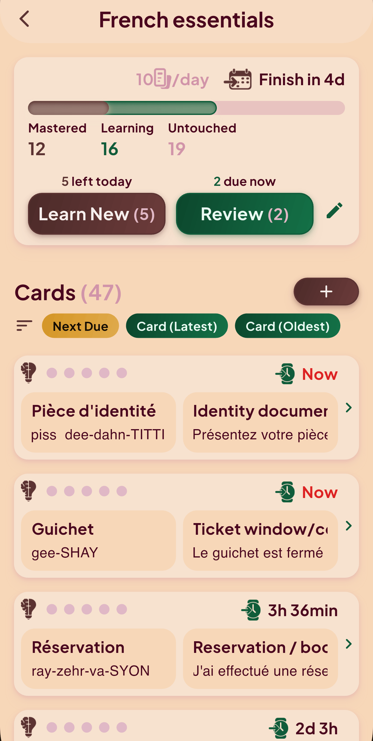 FocusNPlay app interface showing study timer and flashcard integration